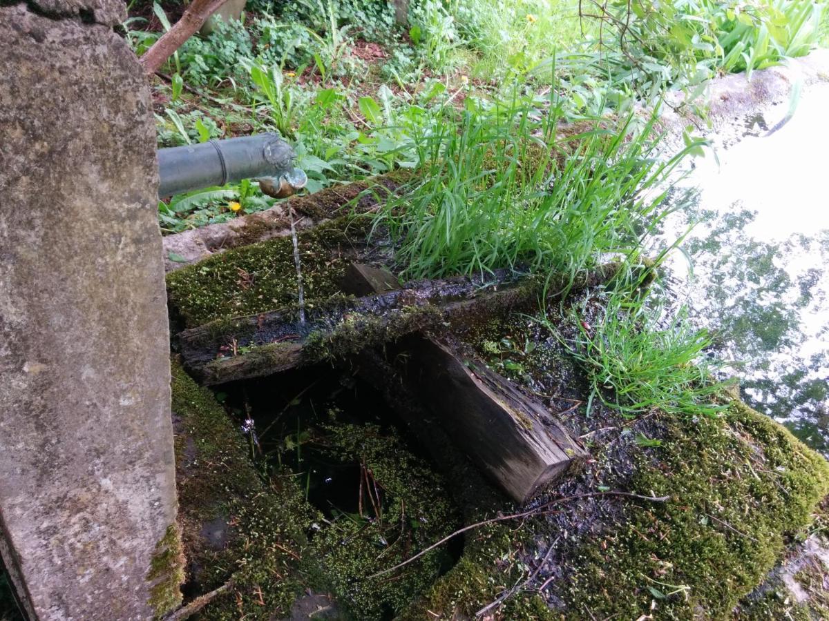Ferme des deux Frères, Autrans, Vercors Esterno foto